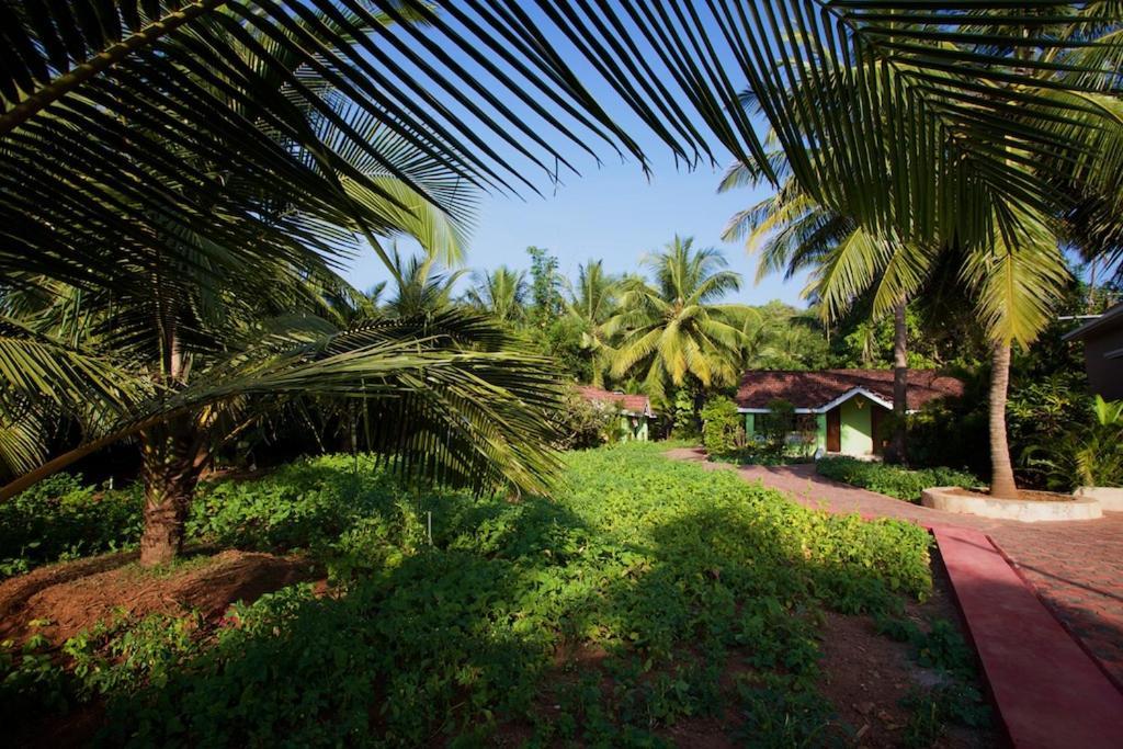 Dunhill Beach Resort Агонда Екстер'єр фото